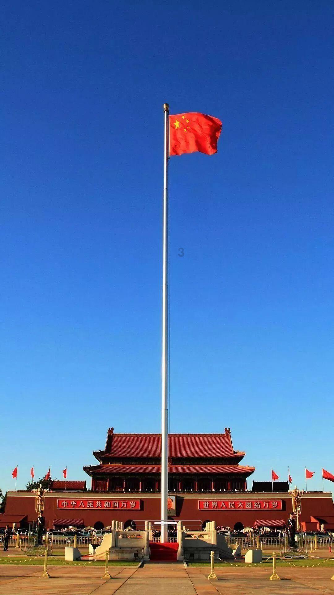 小猪仔要回家