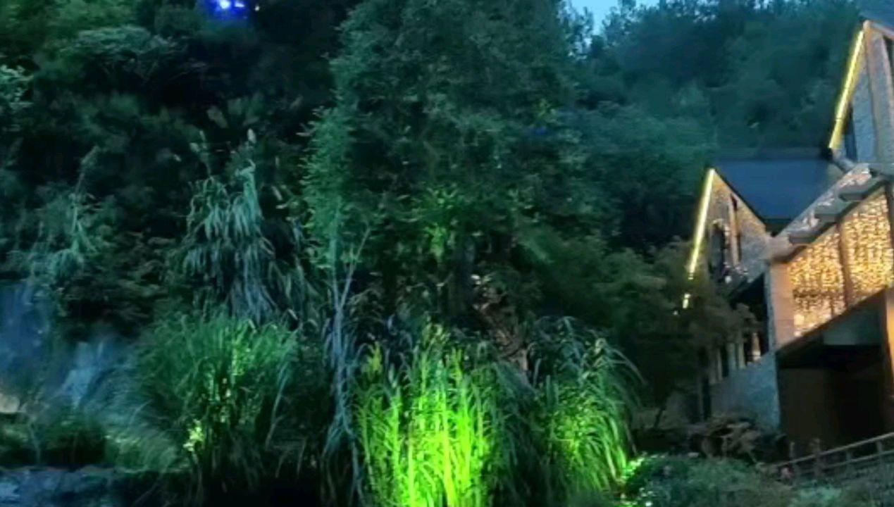 妖刀少女异闻录